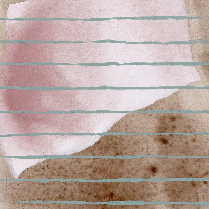 imagen 12. chapman expo